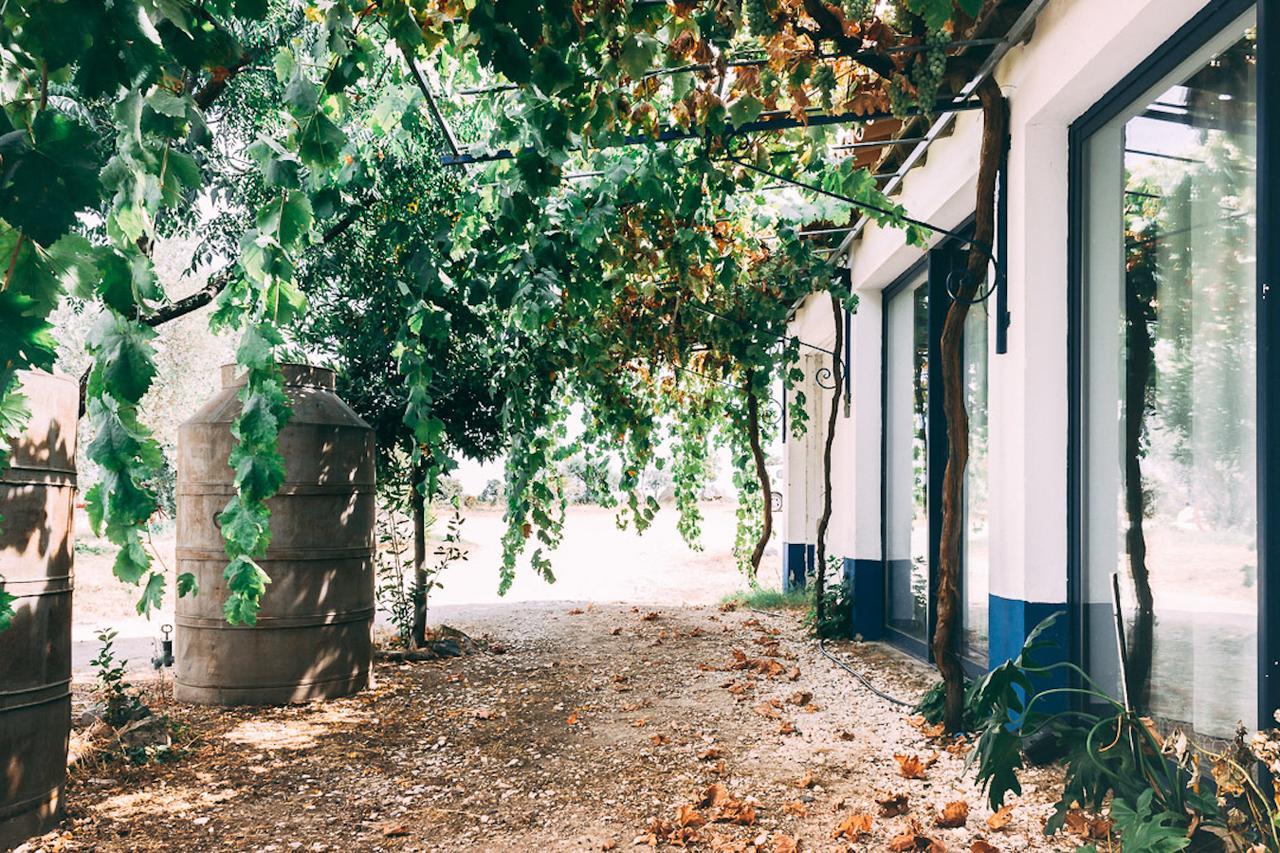 Mourão Monte Do Colmeal - Country House & Wine旅馆 外观 照片